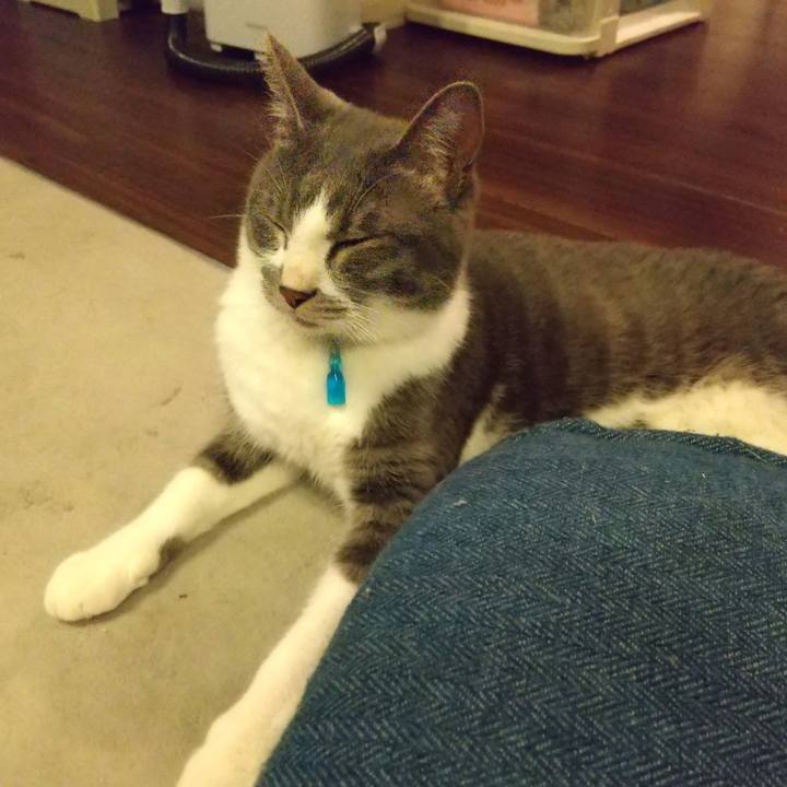 25404a9e 834e 4b6e b573 5cf418d31f04 1622803744552