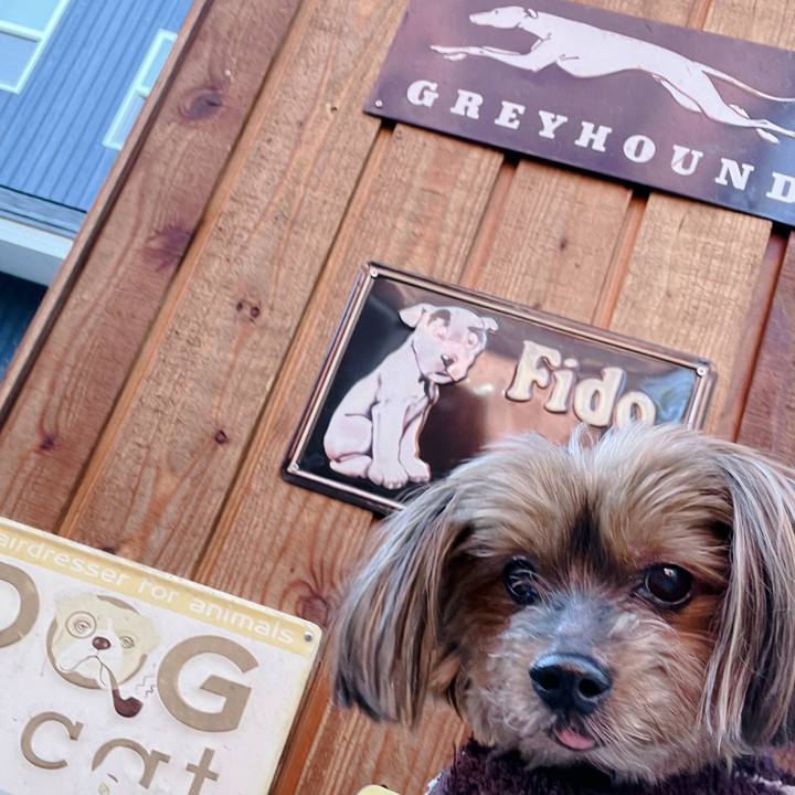 25406398 4c69 4c21 b021 761e0b9435b7 1714773823179