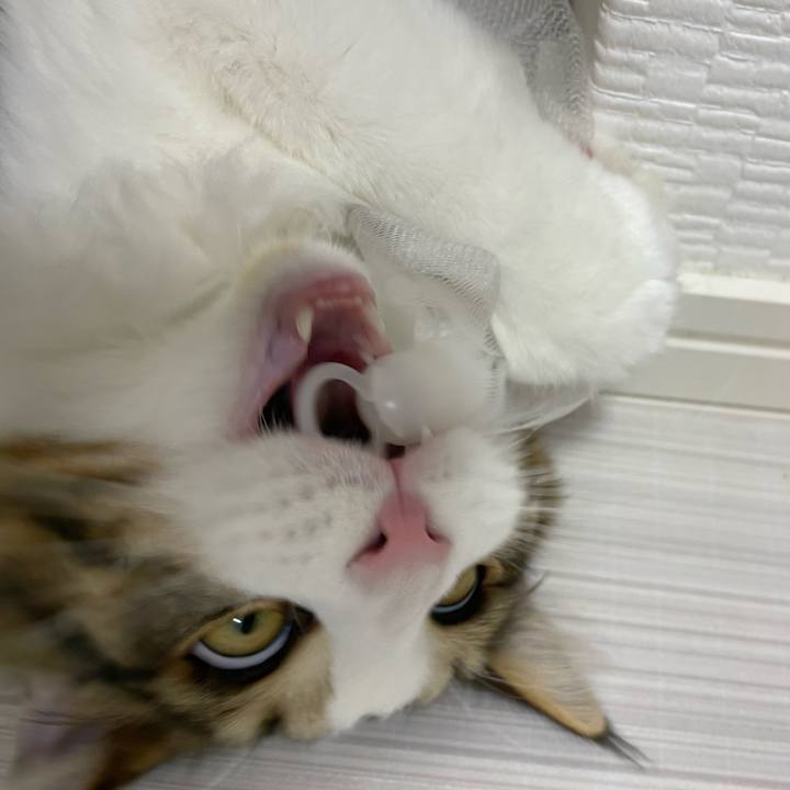 2540c7ee c1e6 427b b192 e45405c9bfe9 1641904492025