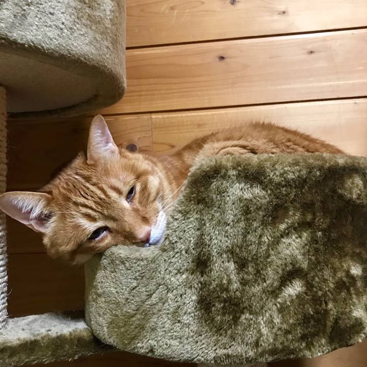 2540d241 ab30 468f b01f 0600185fc720 1558879379572