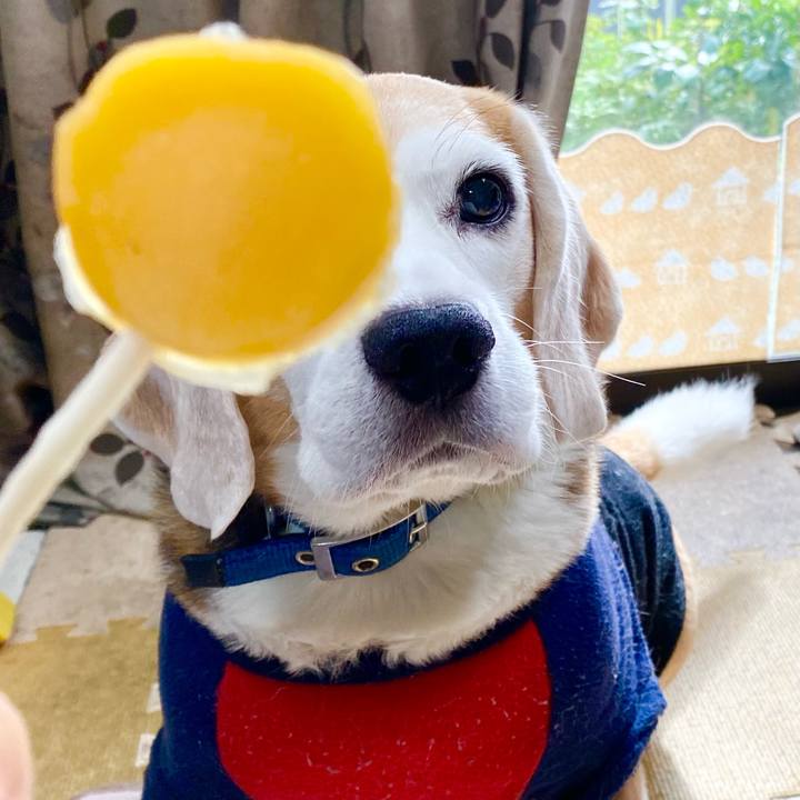 25411895 81e2 47af 9a3c 9641f239d4ab 1602822417838