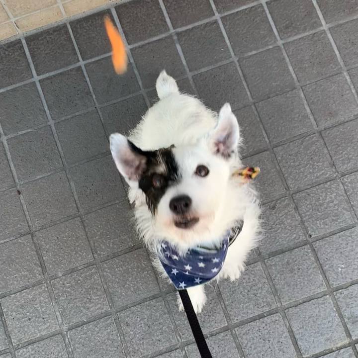 25412b5a e59b 458d a2b4 09a142af9f5e 1723417671500