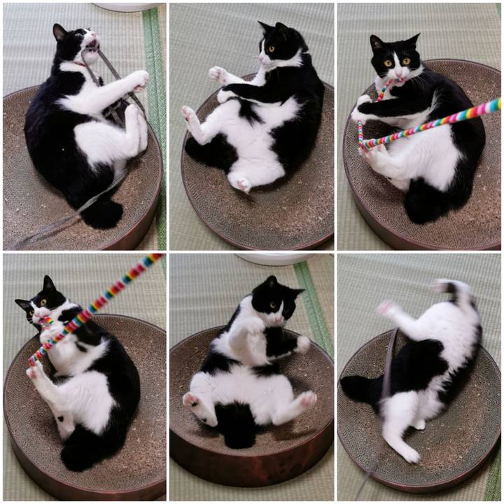 25417b7c b5eb 4b42 bee1 00449ce18ba3 1655011178075