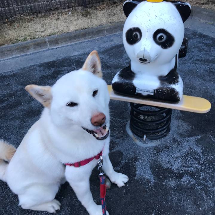 25417d72 0359 48bd 8576 b9e7a6670ce6 1518479307412