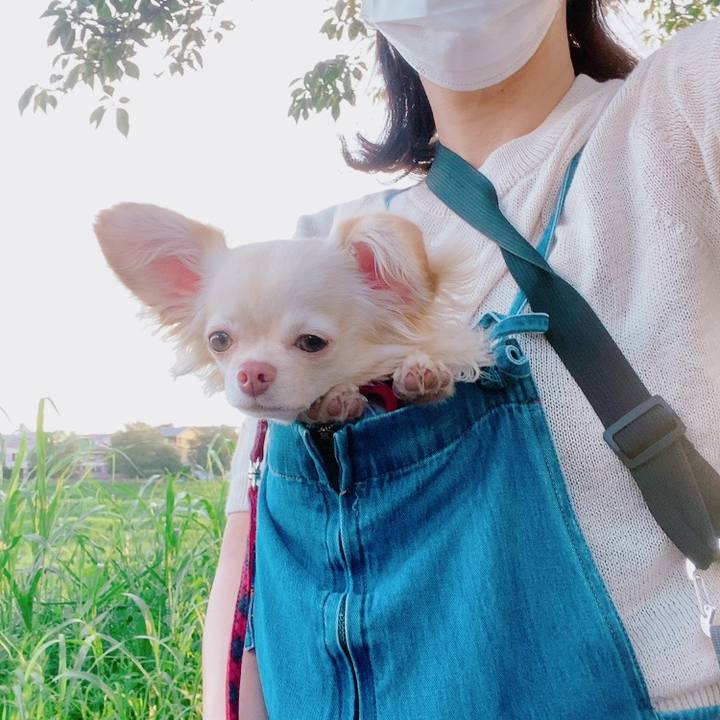 25418ab3 8c3d 479d 8fca 62e67335421b 1626339956557