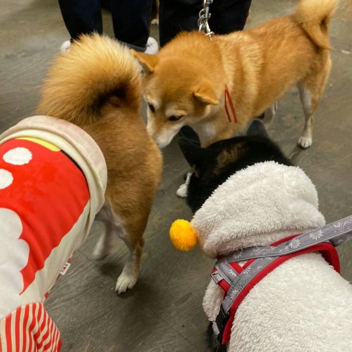 2541b88e f13b 4491 be8d cd5cd1b25841 1575809971771