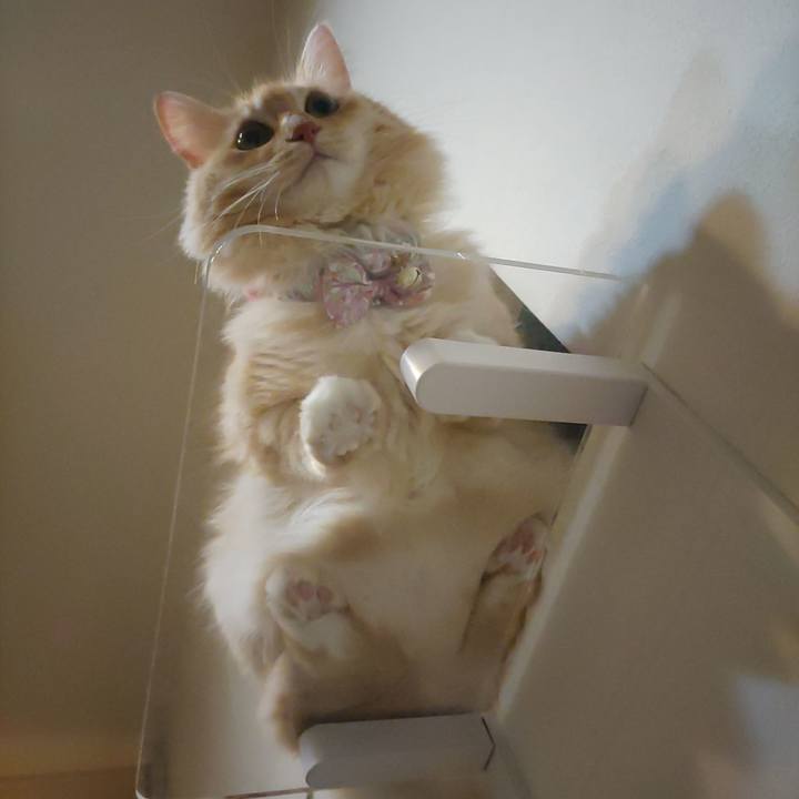 2541bc49 afd8 4698 9cf5 d1d3aac582f8 1662647221766