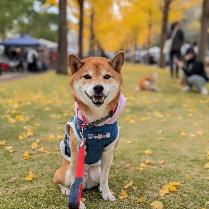 2541ff04 1852 45a3 a58c 59b916bd575f 1700716421742