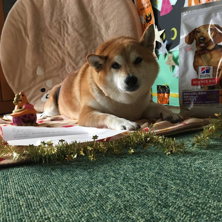 254200a9 cf00 47f5 acc7 c96989f8f3fb 1635216049744