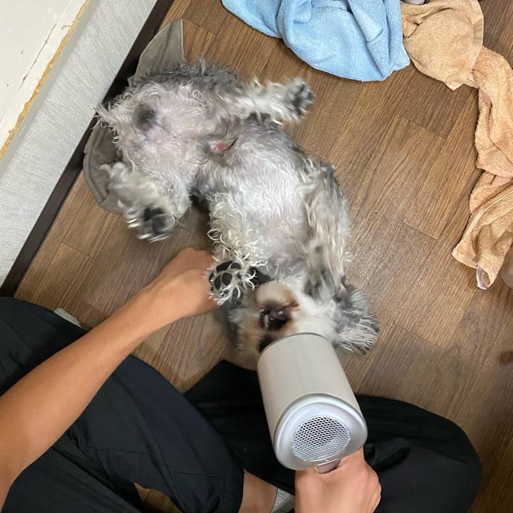 25421dc6 e9be 4b11 b44c 0f6fb676b501 1602311973931