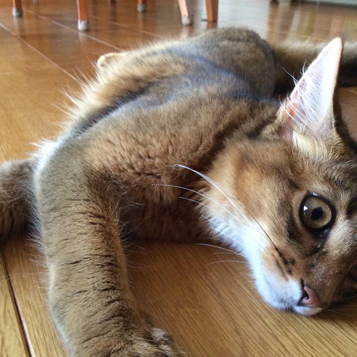 2542284e ba84 4b3a 9e05 ad026d8a4f05 1564525707197