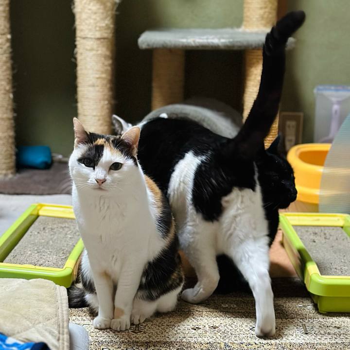 254252ed afed 4e02 952a 6f5af9993979 1707098510596