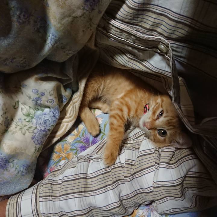 2542630d 46e7 41c1 8cd6 9bfcd9f1c19e 1628686370299