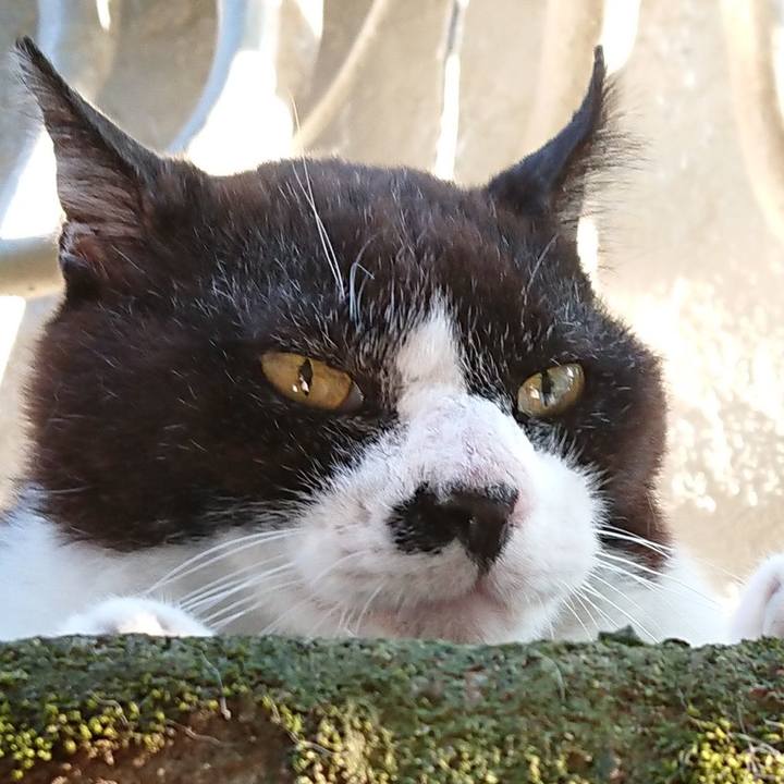 254263ab 13ea 455a b567 6194a88ad223 1689497244616