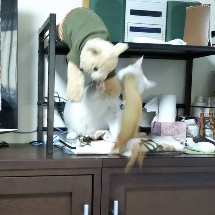 25427cd7 5b8d 4ab4 8412 33ddd391eb6c 1640910681569