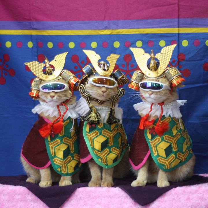 254284bb 8daa 4ac5 b4bf b1c806d9fd63 1651621716318