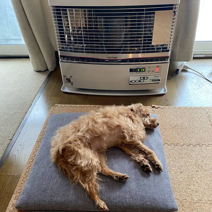 254292d5 607a 4bf8 be0a b4a6c96c22c9 1641856956463