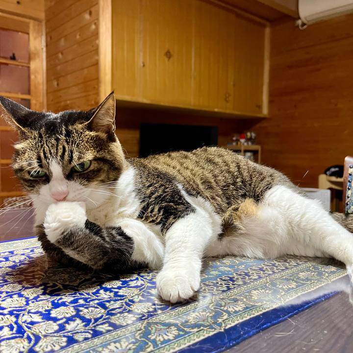 2542d2a4 93b3 4642 8269 acad1480f497 1717328008959