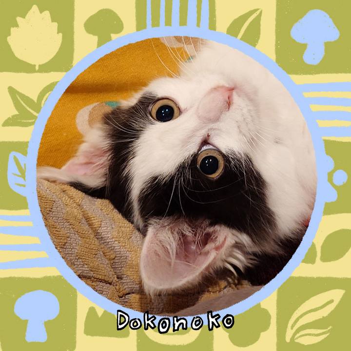 2542d2cf 49fb 42ed b971 d48ef19f5225 1761129175218