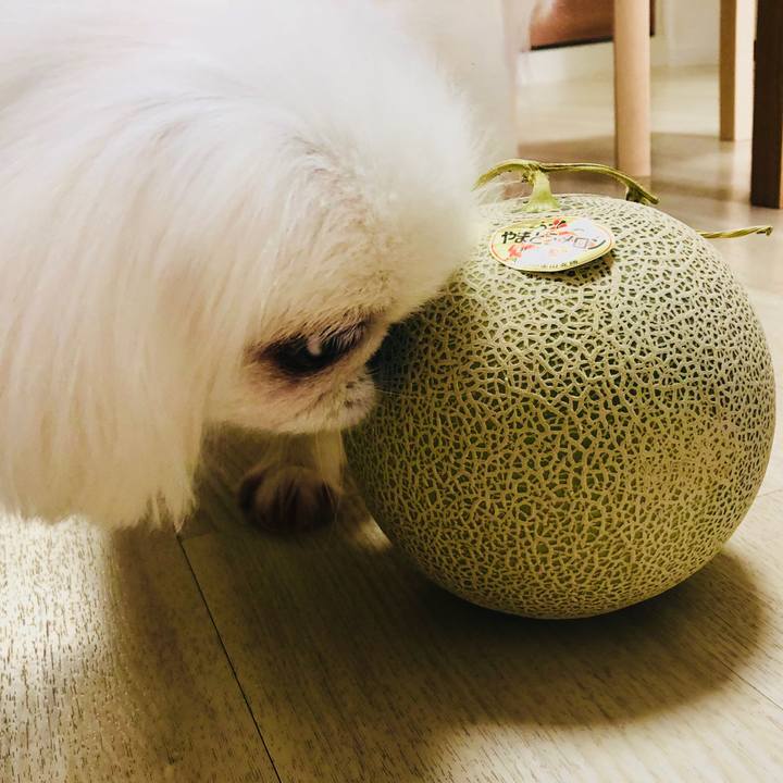 254302c5 96c2 434c 8e4b 075f8e141f03 1599104809415