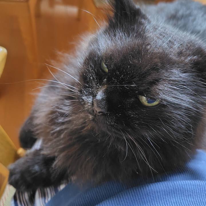 254306bc 8320 44b0 8a3b 13e971eae642 1755778660919