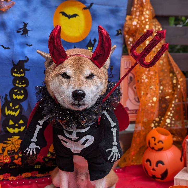 25431af2 6028 4f38 90ee 5793c48259b5 1730461878642