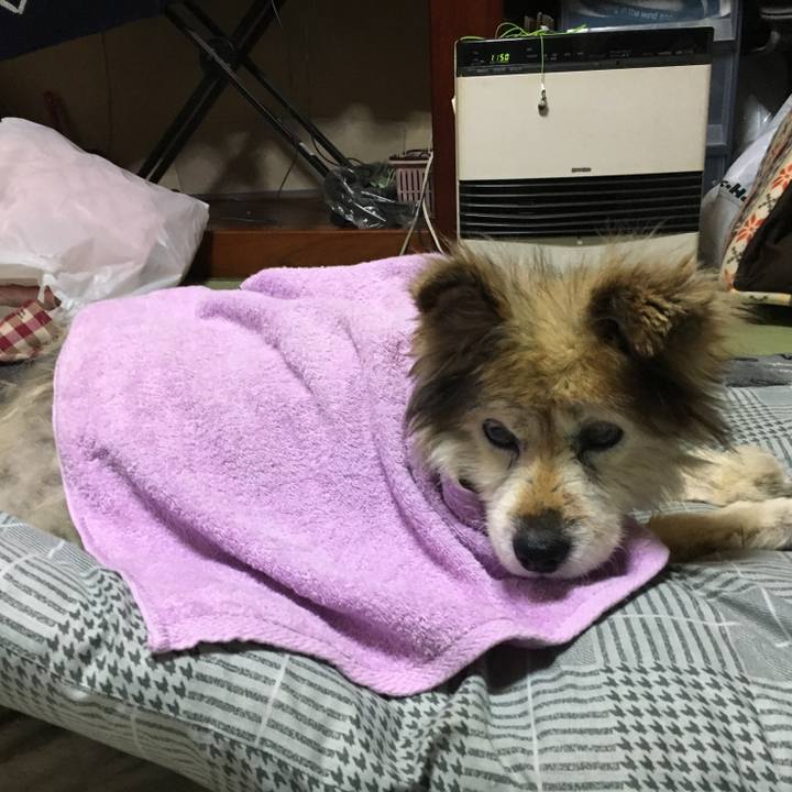 25436f71 31f1 43e6 bfdc 1b3ba5760883 1599040203312