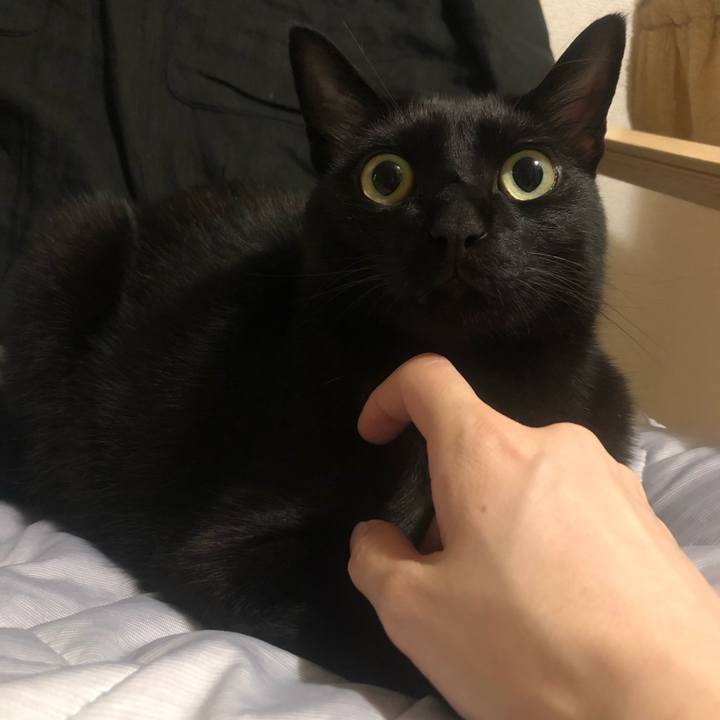 25437c44 ffdd 45f5 97ec 72e85cfb955d 1660298960194