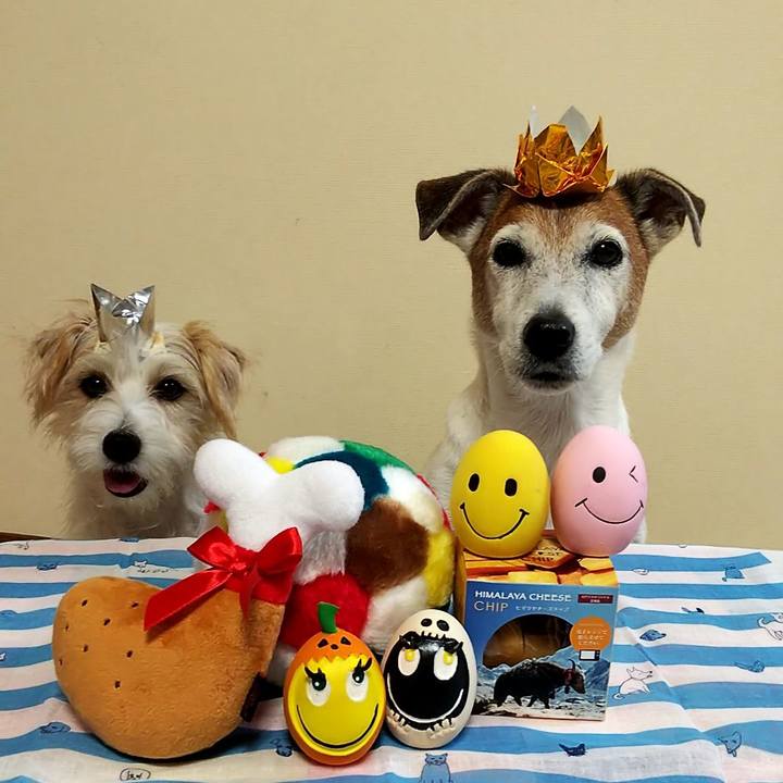 25438b64 18bd 43c9 b9e1 4740941f99ff 1538573513209