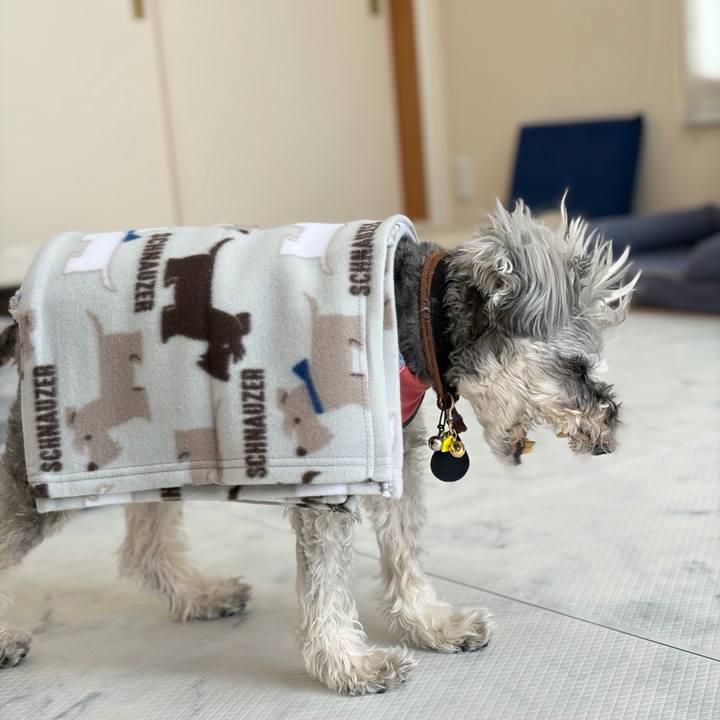 25438c02 4a64 48c7 80ab 795d08fb8b40 1771551358538