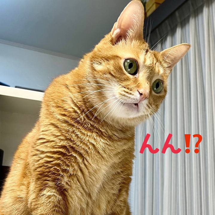 2543a5c4 2233 4464 a825 7edd6e889086 1667856516385