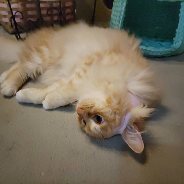 2543a6be cc7d 4238 b491 b10998b9c9c6 1682606171072