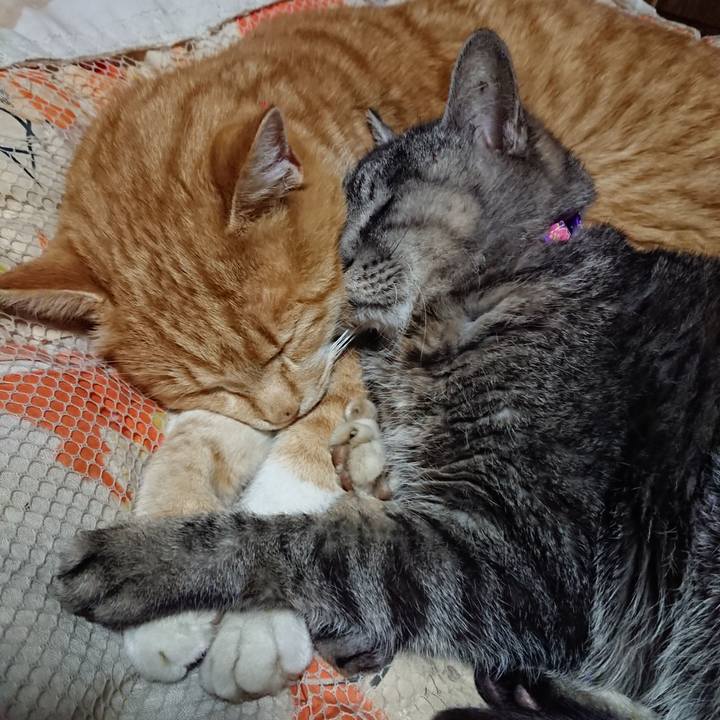 2543ad13 3999 4679 8c02 bc96193ec6cb 1578147407587