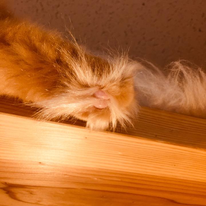 2543f085 de62 4203 9641 747fec8a8009 1579561320490