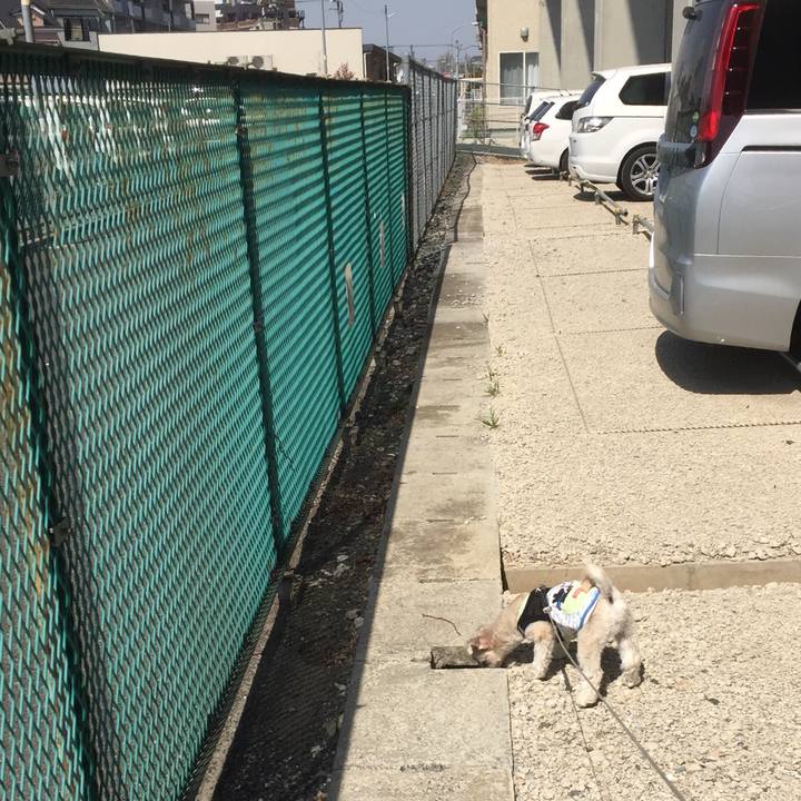 2544114a 8cbf 4c69 be2f 9d13e9e04d68 1522480366978