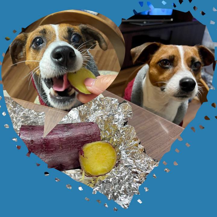 25443633 23a4 487f bdc8 217b5f1cee16 1643617332514