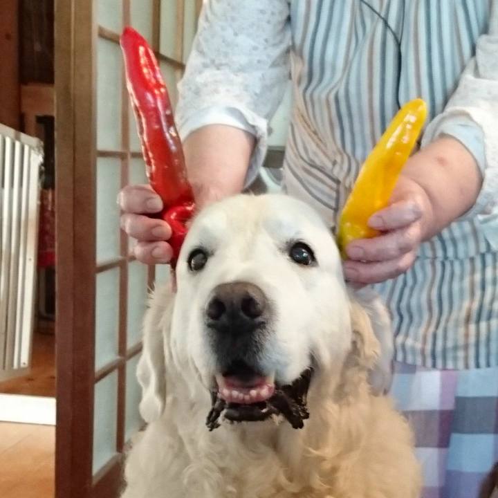 25445355 e075 459b 89b8 45062c27bbbd 1537312331076