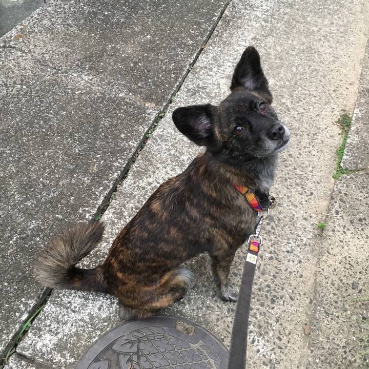 254455a2 7053 425a 97c7 5cdef1ddc0e6 1509762746783