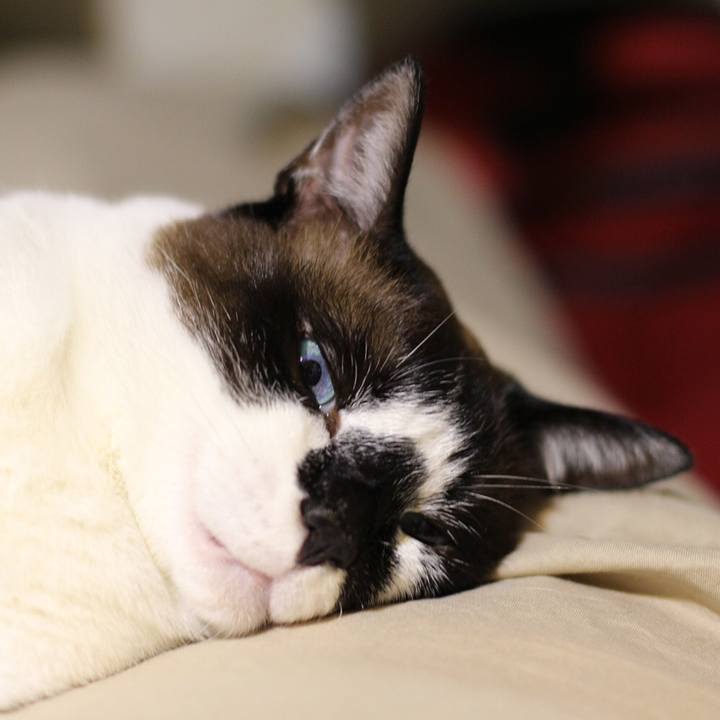 25446607 3e93 458f be0f 83cd285c77bb 1510241988924