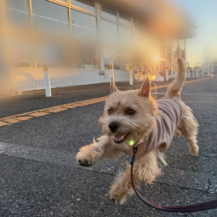 25448136 923d 43e8 96fe 1677dba3f92e 1765102869781