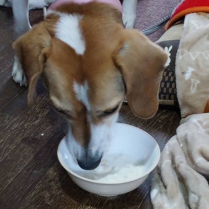 254491ef 160a 4160 84f0 07bc761b5193 1583297262407