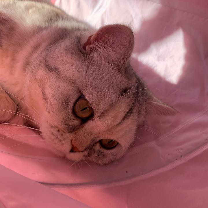 25449b82 45bc 4b0b 8069 5be5cd864fce 1707608411011