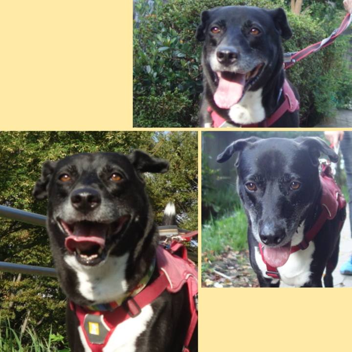 2544aba0 06d8 4e04 b55d f93f15308914 1696207566785