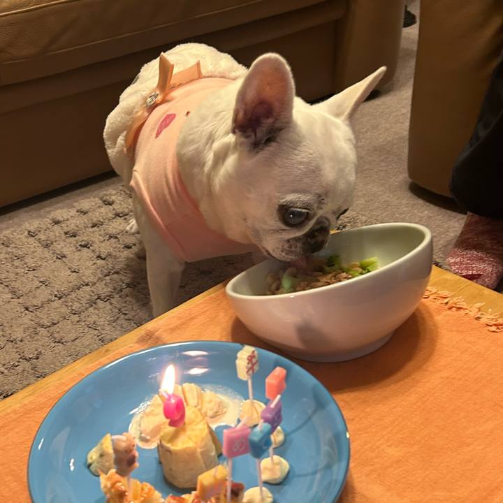 2544fdc2 b304 486c b83e 326a8e823206 1732183094342