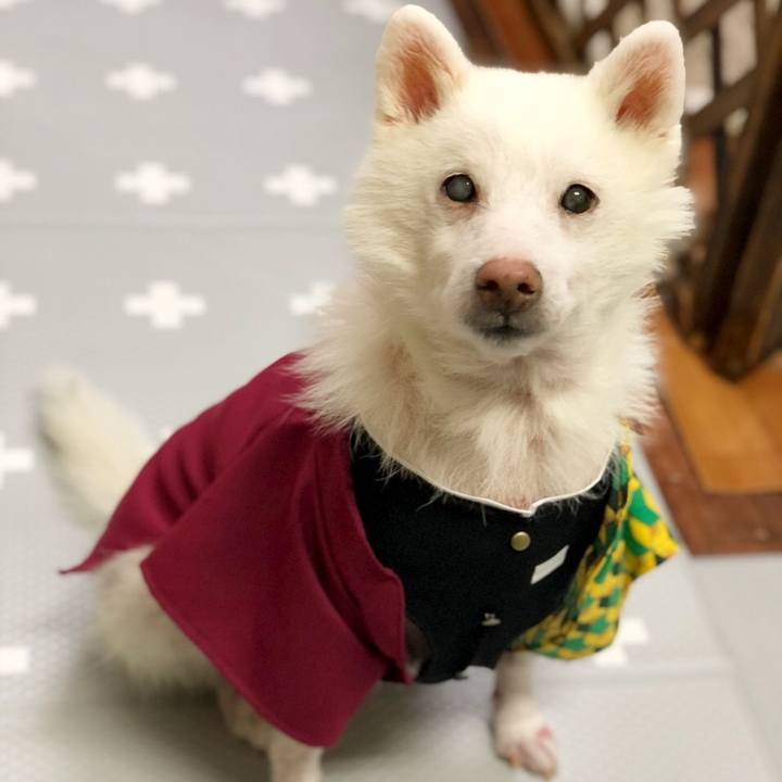 254513aa 6604 44fa bbb7 66d7b4f833c4 1635683210255