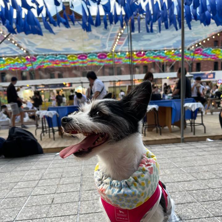 25454786 cf83 4eb9 a4ac a63fa3b9d03c 1660479962551