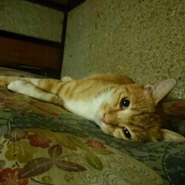 2545591e 2f61 4038 b9cb c714ac78bd27 1597926708677