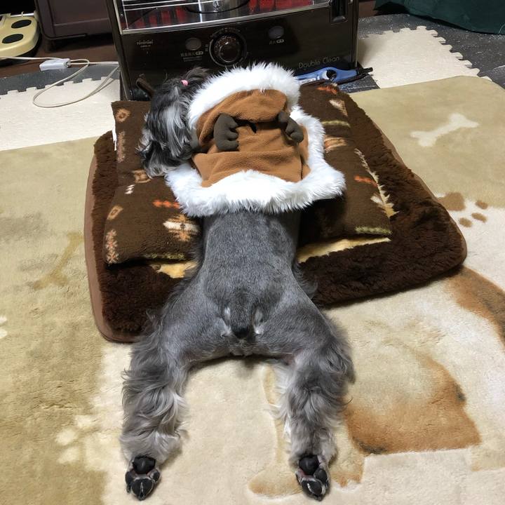 2545b1de 5176 4a72 b12f 2fef62fb333e 1545460189188