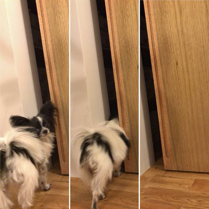 2545c456 a351 4383 a89e cc88dd1215c6 1513089359239