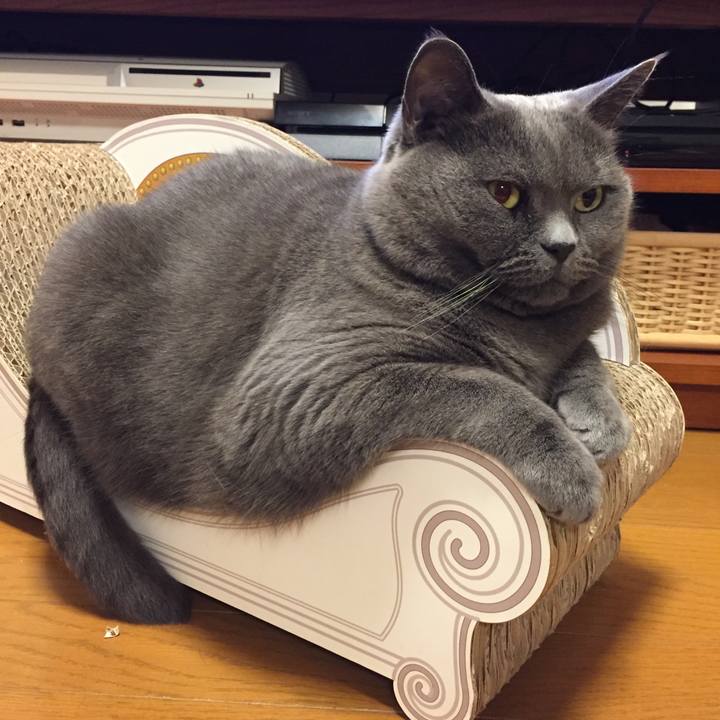 2545d2a4 30e3 4aaf 80a3 e087115f7893 1508075057373